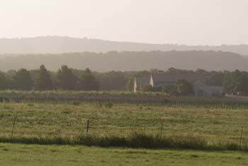 Project_HCB_20070702_FallCreekVineyards_0026