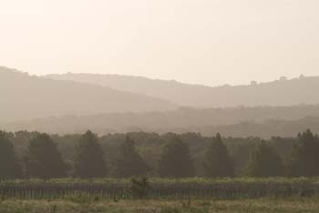 Project_HCB_20070702_FallCreekVineyards_0028