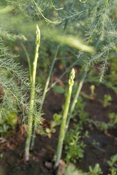 Project_HCB_20070702_HairstenCreekFarm_0021