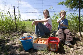 Project_HCB_20070702_MarburgerPeaches_0073