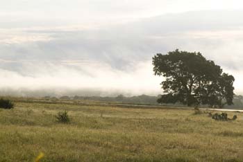 Project_HCB_20070702_Scenery_Llano_0033