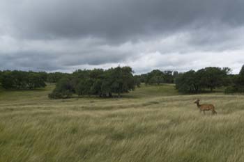 Project_HCB_20070815_BrokenArrowRanch_0113