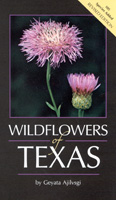 Wildflowers of Texas